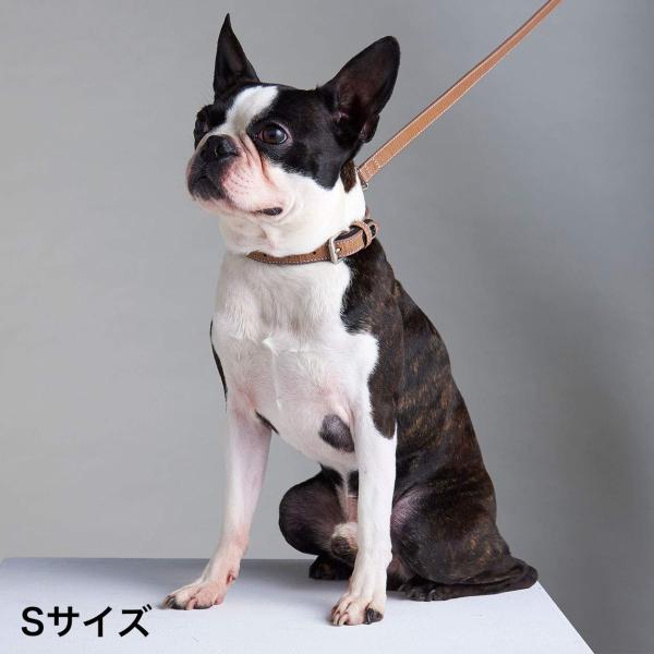 ペティオ (Petio) フラッシュリード レザーブラウン 犬 S サイズ