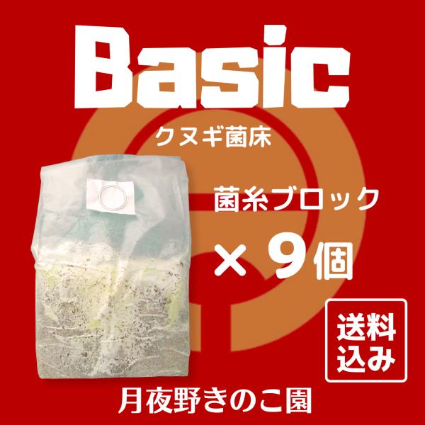 tsukiyono_bk9_1_d_20250823154114