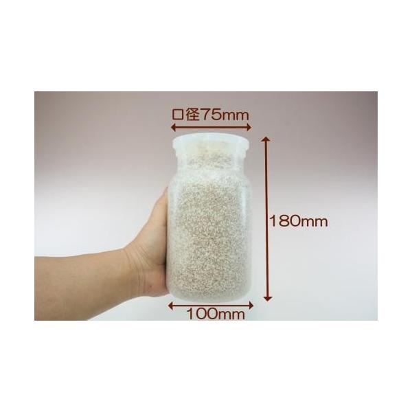 E 1100 12本入 菌糸瓶 菌糸ビン Pymr Go Th