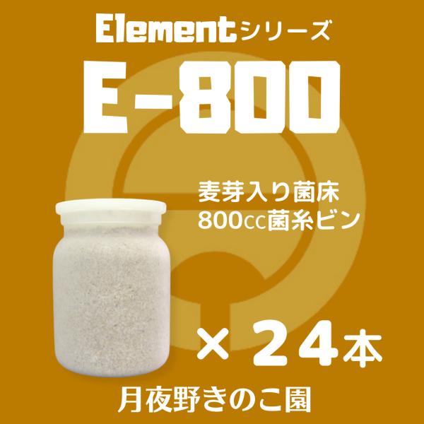 tsukiyono_e804_1_d_20250823153048