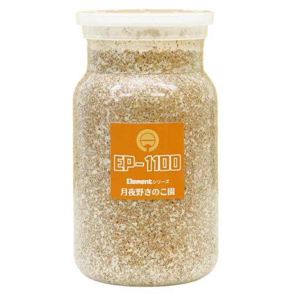 【送料無料商品へは、他の商品の同梱ができません。】※容器の性質上、菌糸ビン底の容器と菌糸の間に若干の隙間があります。ご使用には問題ございません。予めご了承くださいませ。 菌床ブロックの状態で菌糸を培養し 再度容器に詰替えています。 詰め替え...