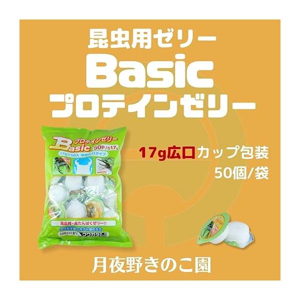 tsukiyono_jn1_1_d_20250828153919