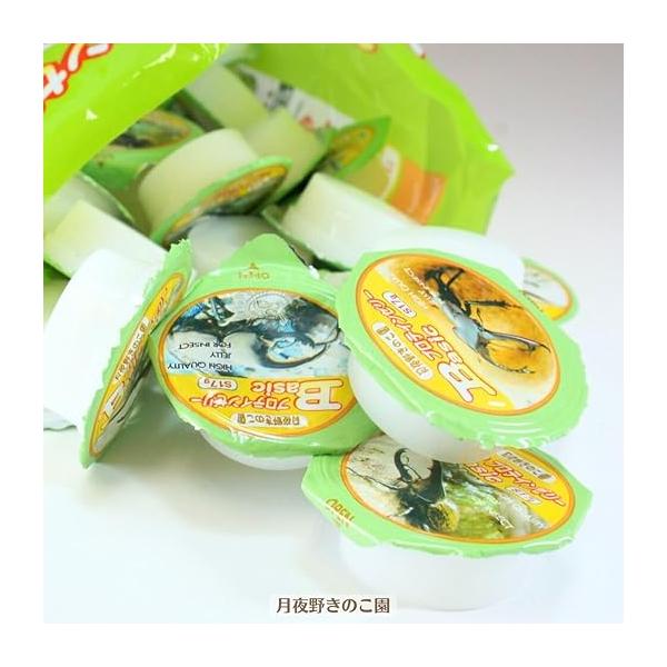 tsukiyono_jn1_2_d_20250828153930