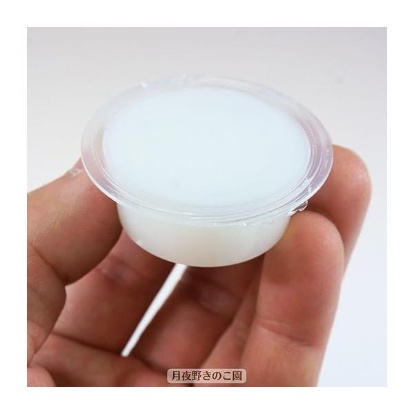 tsukiyono_jn1_3_d_20250828153941