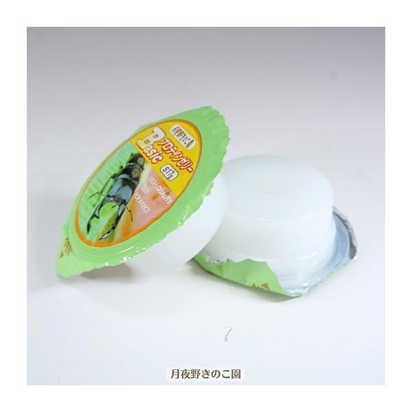 tsukiyono_jn1_4_d_20250828153950