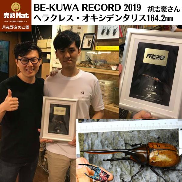 tsukiyono_kam10_1_d_20250821161958