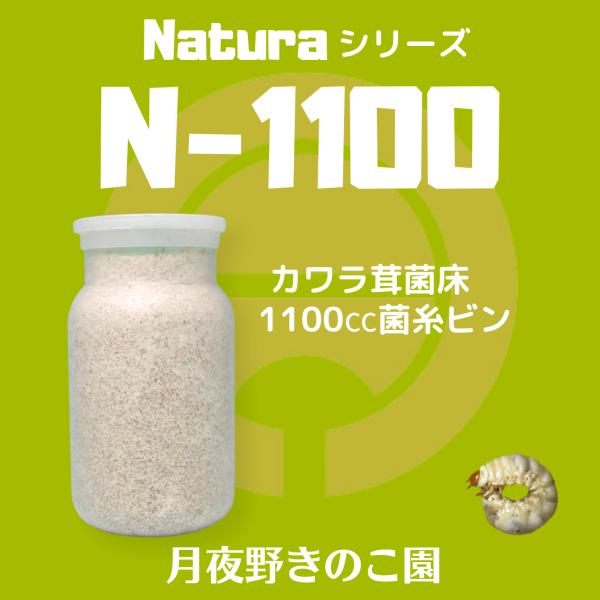 tsukiyono_n1100_1_d_20250828105434