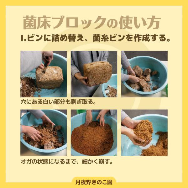 tsukiyono_nb9_4_d_20250823154447