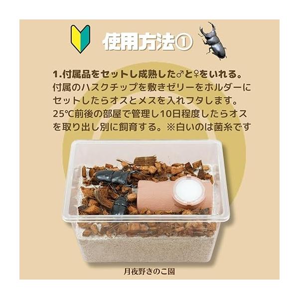 tsukiyono_srbs_2_d_20250828162018