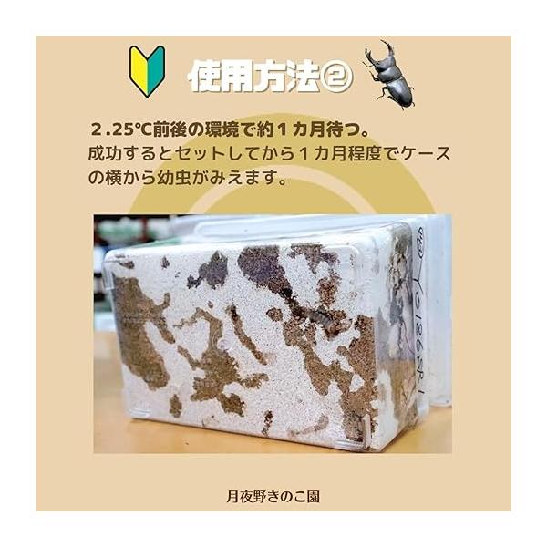 tsukiyono_srbs_3_d_20250828162031