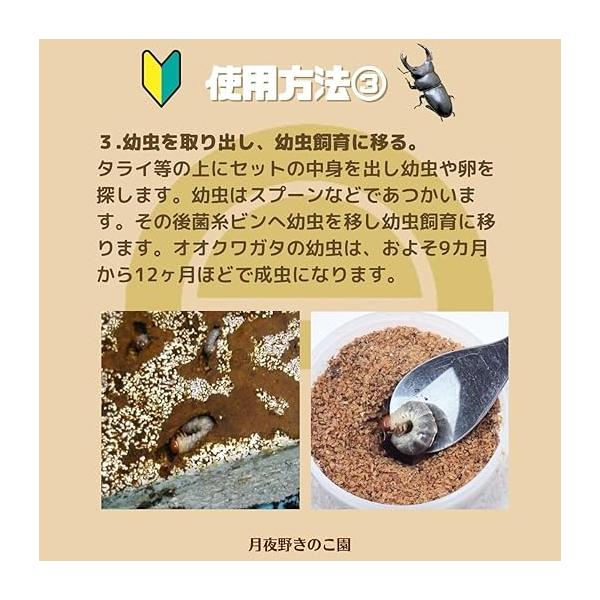 tsukiyono_srbs_4_d_20250828162041