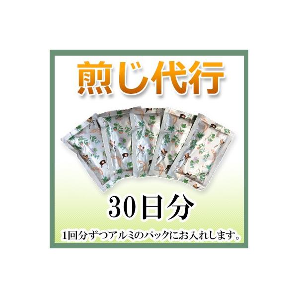 桂枝加葛根湯 煎じパック 30日分 けいしかかっこんとう 漢方のつくば薬園 Buyee Buyee Japanese Proxy Service Buy From Japan Bot Online
