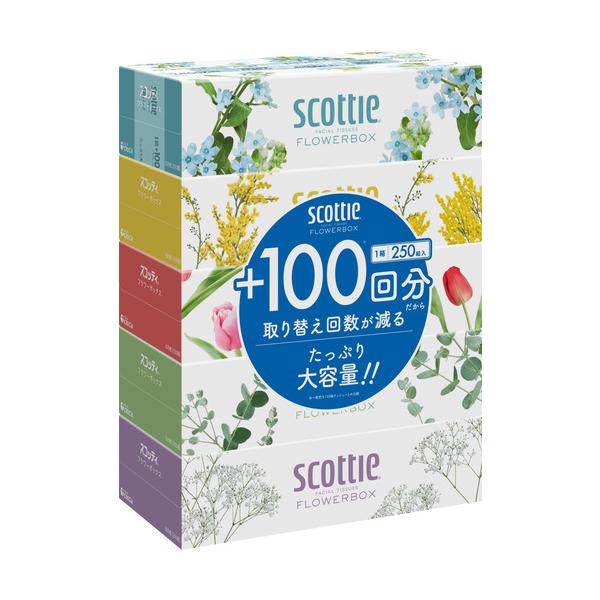 日本製紙クレシア スコッティティシュー フラワーボックス 250組 5箱パック