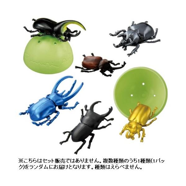 タカラトミー アニアのたまご 昆虫コレクション ／3歳〜 幼児用おもちゃ