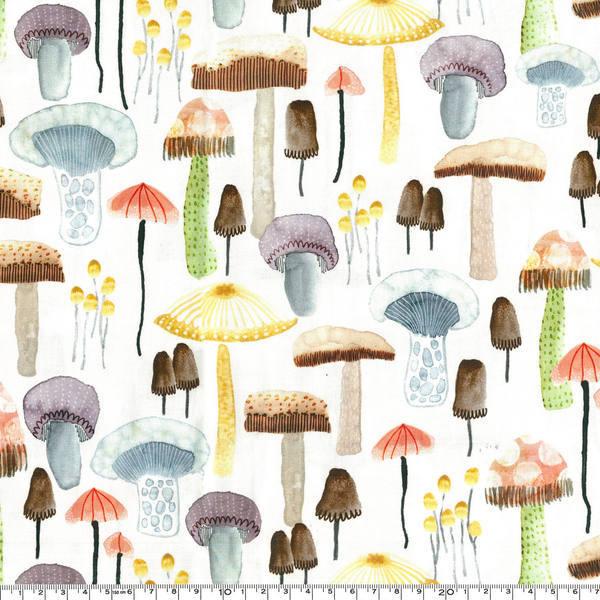 きのこ 生地の人気商品 通販 価格比較 価格 Com