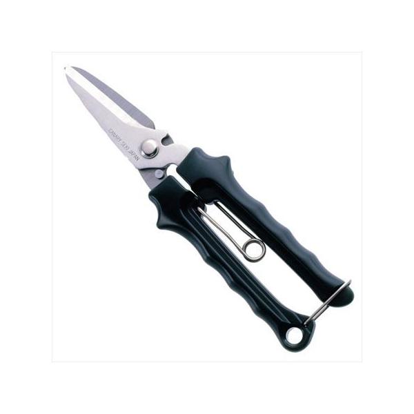 ͂ Jn Ntg͂ A[X[ n[hXjbv