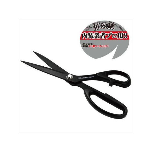 ͂ Jn vdlp͂ {ht[oqn