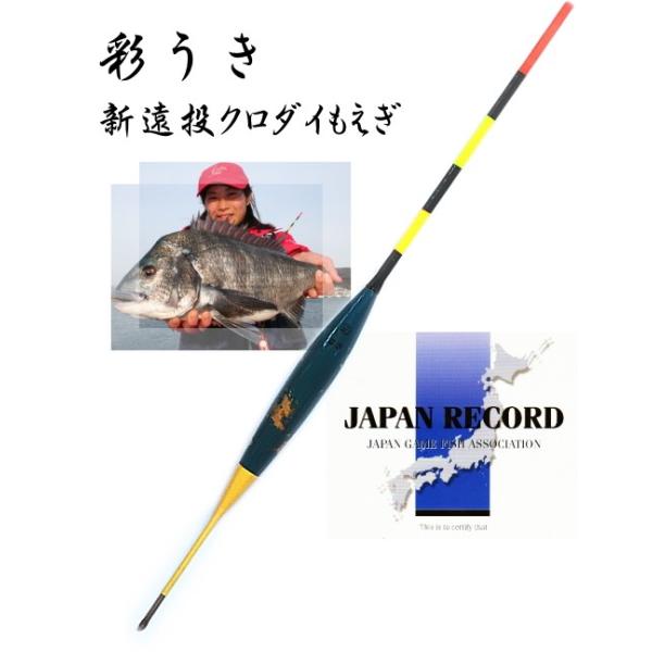 ʂ V N_C  #2(3B`5B) / `k  _EL / saiuki (uz 450~)