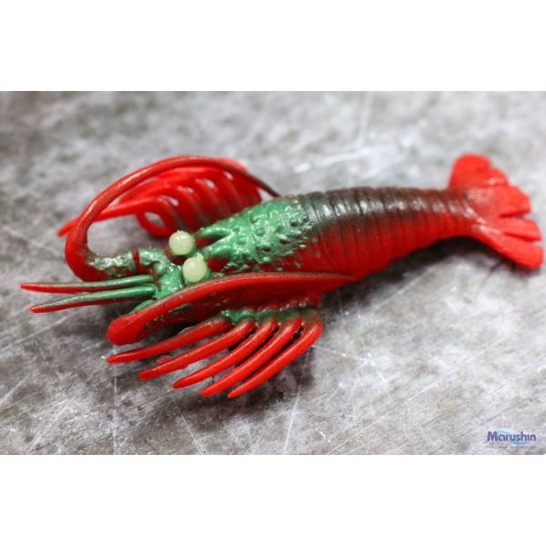 ^Rނp^a }V tFCN ɐGr  MTCY / [։