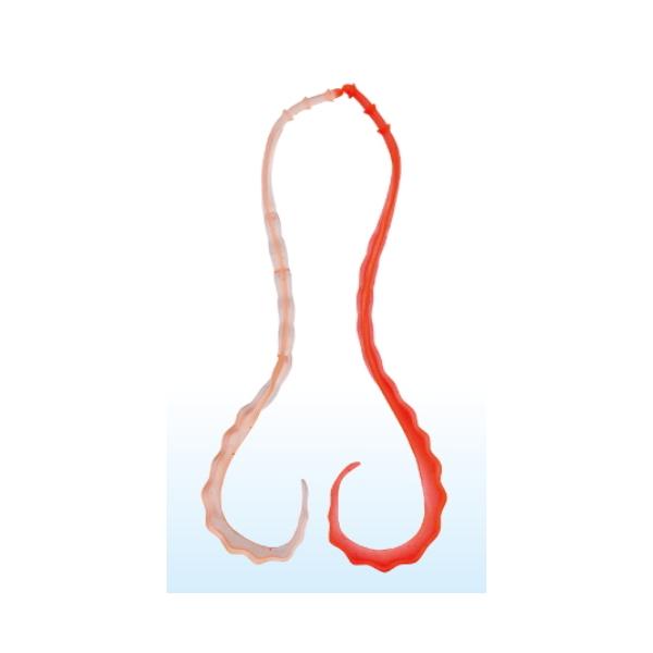 ܂ O[  3D\tglN^C #28 PCIW/ubh / ⃉o ^Co / [։