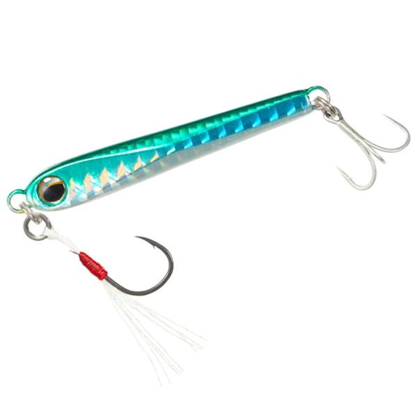 _C 21l vYi[ 10g CJiS / A[ ދ [։