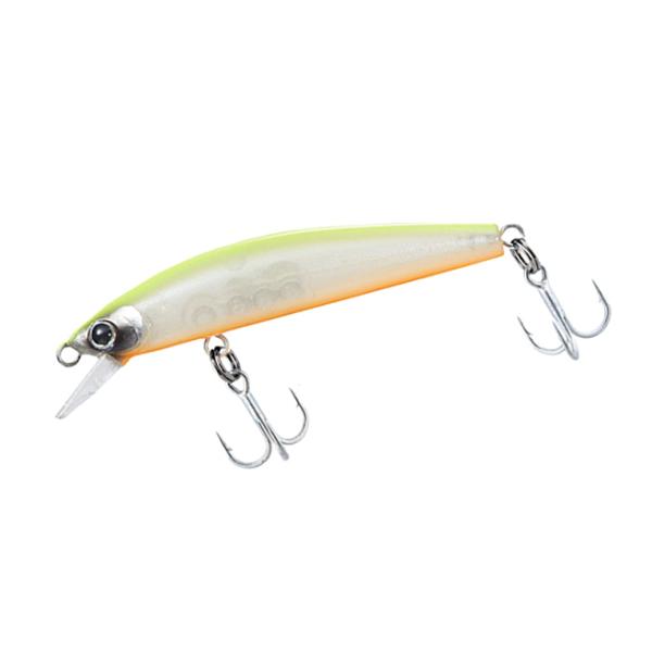 _C on^[ 50F `[gobNp[ / A[ / [։ / ދ