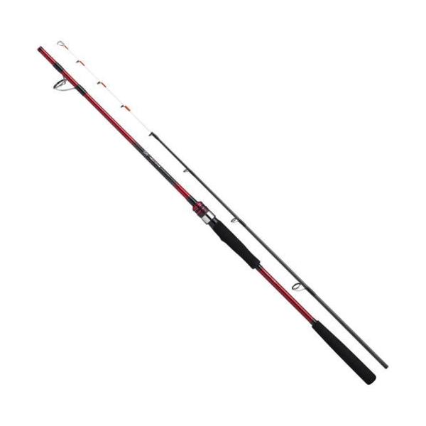 DAIWA（ダイワ） 26 アナリスター エギタコ MH-170・J / 船竿 釣具