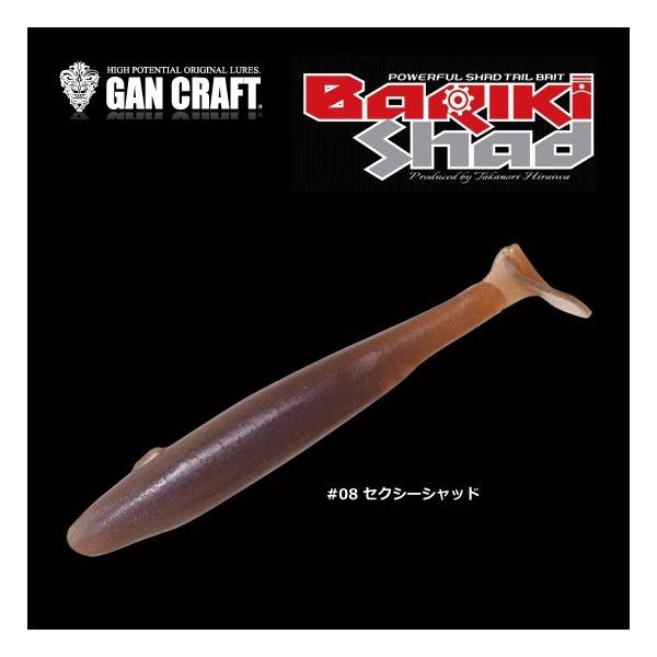 KNtg oLVbh 4.8C` #08 ZNV[Vbh / [ A[ / [։ / ދ