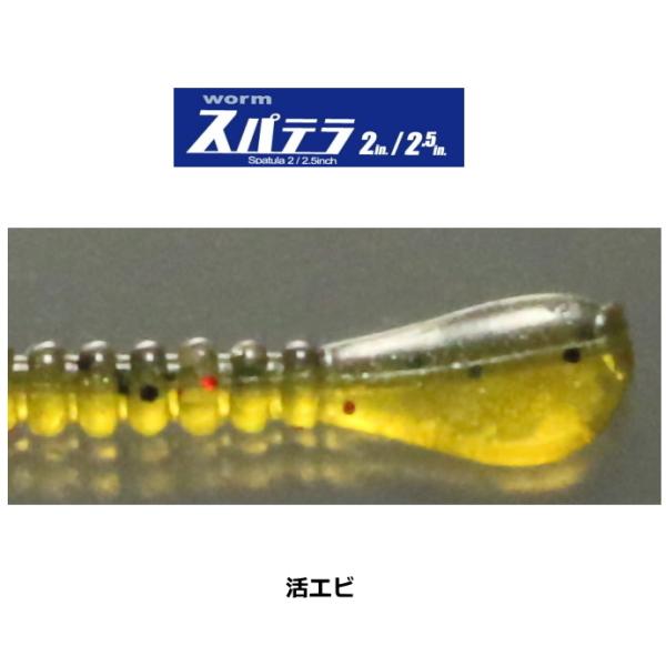 ꐽ issei CY Xpe 2C` / Gr / A[ [ / [։ / 