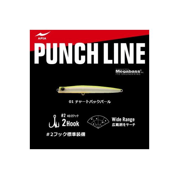 AsA APIA p`C 130 #01 `[gobNp[ / A[ / [։ / ދ