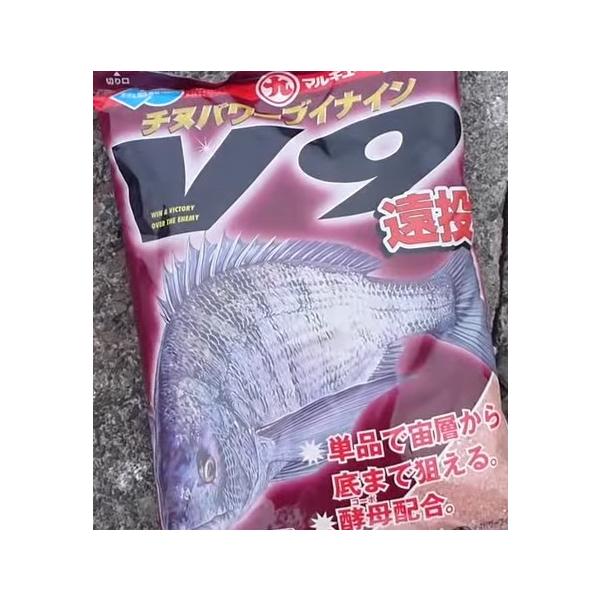 }L[  `kp[u9 1 (15ܓ)  / marukyu (SP)