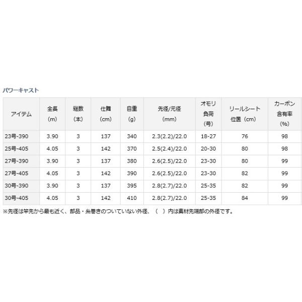 25号 405 Power 投げ竿 D01 週末セール商品 投げ竿 パワーキャスト D01 ダイワ O01 釣人館ますだ 店