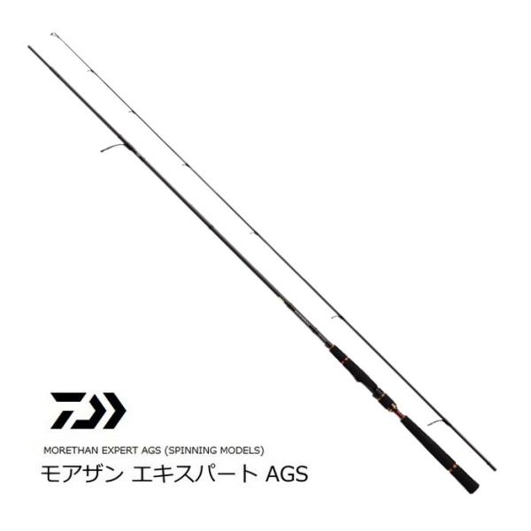 DAIWA(釣り) ダイワ モアザン エキスパート AGS スピニング DAIWA(釣り) ダイワ モアザン エキスパート AGS スピニング