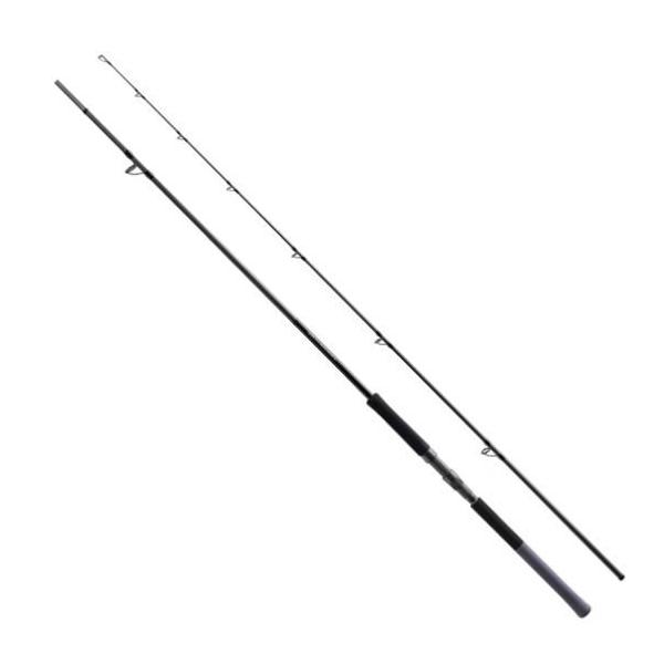SHIMANO 25 ソルティーアドバンス ショアジギング S100H シマノ（SHIMANO） 25 ソルティーアドバンス ショアモデル ショアジギ