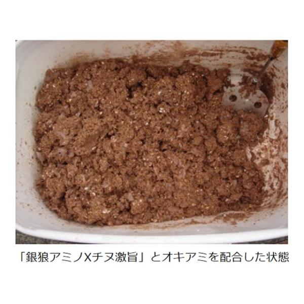 ダイワ Daiwa 銀狼アミノｘチヌ 激旨 内容量 約３３００ｇ クロダイ チヌ釣りエサ フカセ用 Buyee Buyee 日本の通販商品 オークションの代理入札 代理購入