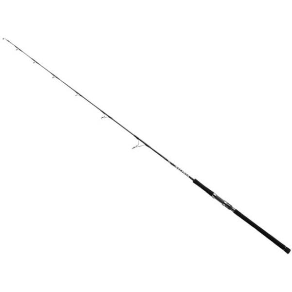 SALTIGA EBING 62HS オフショアロッド DAIWA（ダイワ） ソルティガ エビング 62HS （18 SALTIGA EBING