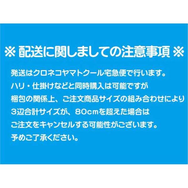 tsurigu-ten_324512_2_d_20240315141352