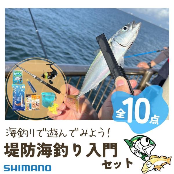 シマノで揃える　サビキ釣り完全釣り入門セット（竿・リール／サビキ／カゴ／アミ姫／バケツ他 全10点セット）