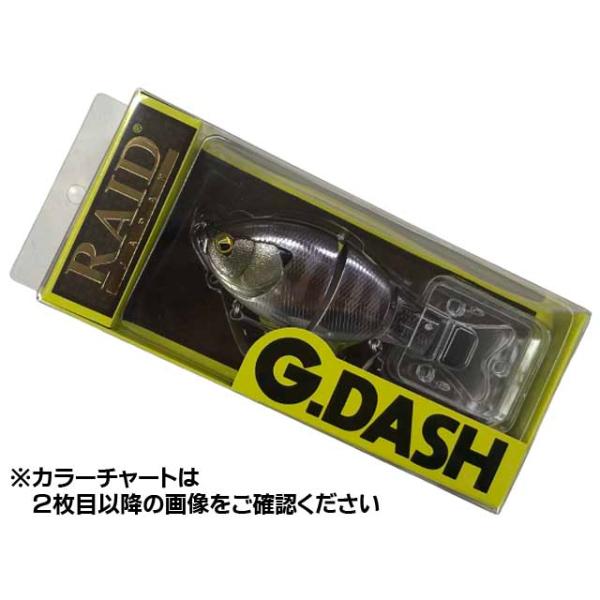 10個セット】レイドジャパンG-DASH ジーダッシュ