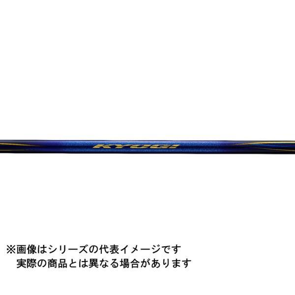 DAIWA（ダイワ） 23 銀影競技 TYPE S XH90・W【大型商品180】 : ヨコオ