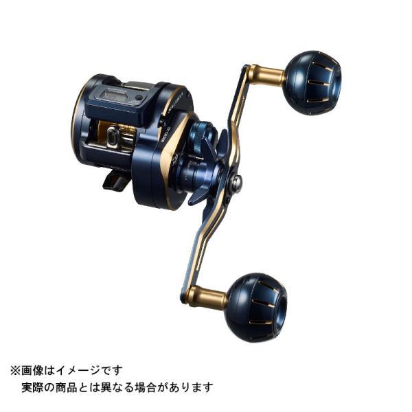 DAIWA（ダイワ） 21 ソルティガIC 300L-DH : ヨコオネット Yahoo
