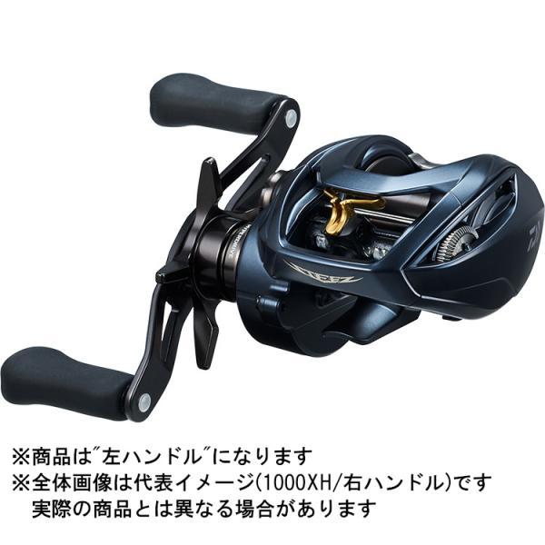 DAIWA（釣り） ダイワ 22 スティーズ AII TW 1000XHL(左) : ヨコオ 