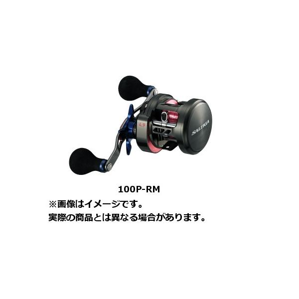 ダイワ　ソルティガ BJ 100P-RM 右ハンドル DAIWA（釣り） ダイワ 17 SALTIGA(ソルティガ) BJ 100P-RM(右