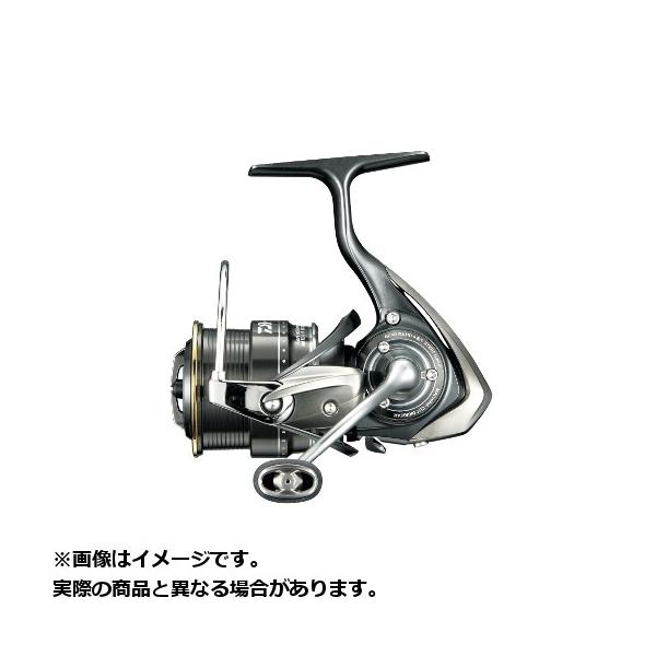 DAIWA（釣り） ダイワ 18 スティーズ(スピニングモデル) TYPE-II