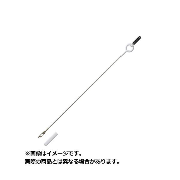 ޕ pi GGTʂ