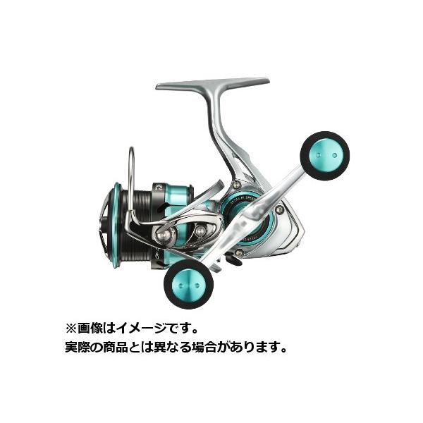 アオリイカのティップランエギングを基礎から知ろう 釣れる時期やおすすめのエギは アウトビ