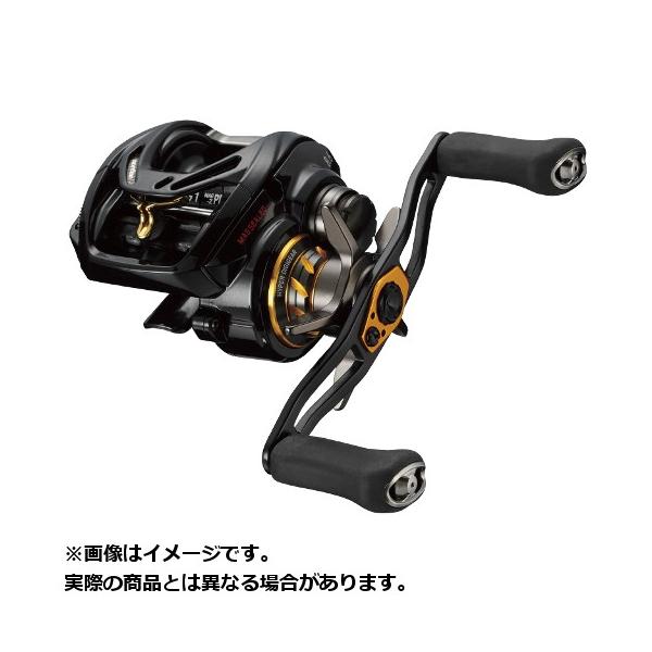 DAIWA（釣り） ダイワ 19 MORETHAN(モアザン) PE1000XHLーTW(左