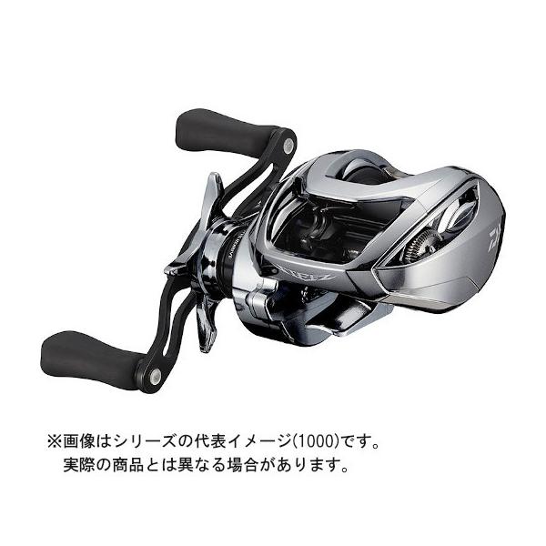 DAIWA（ダイワ） 21 STEEZ LTD(スティーズリミテッド) SV TW 1000 (右