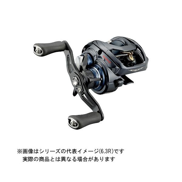 DAIWA（ダイワ） 21 STEEZ(スティーズ) A TW HLC 8.1R(右) : ヨコオ