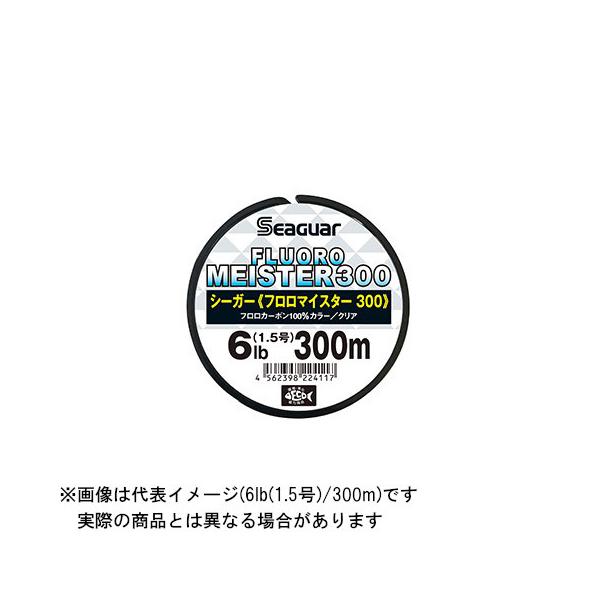 Nn V[K[ t}CX^[300 300m 6lb(1.5) (J[:NA)